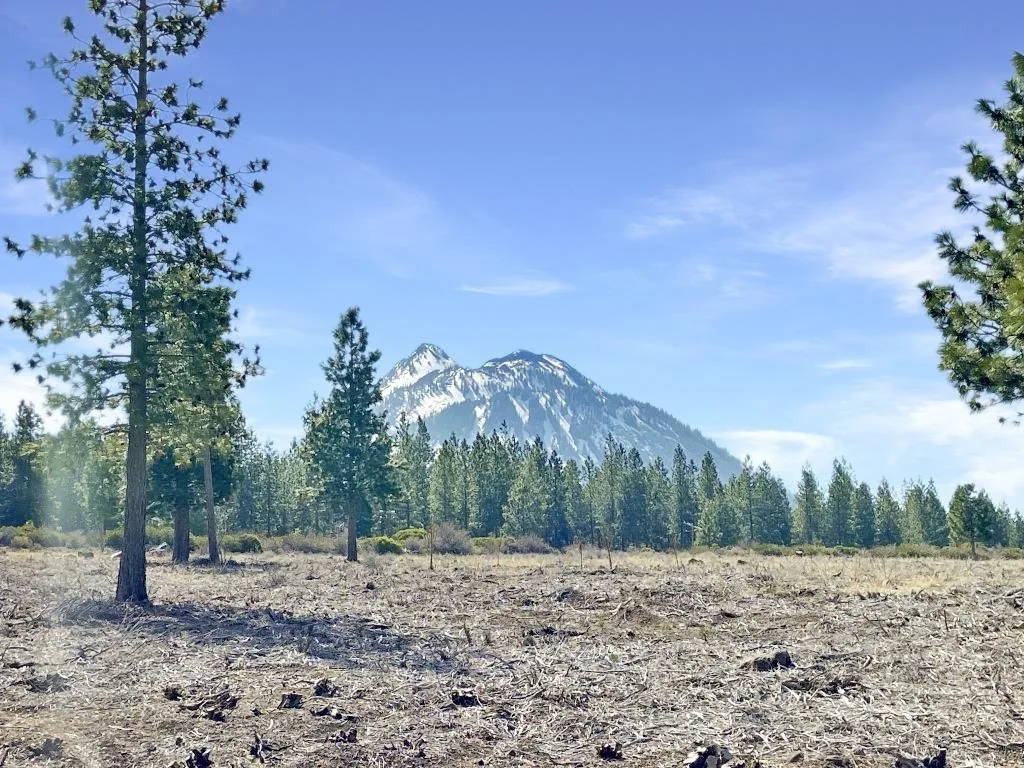 Lot 37 Hidden Meadow Dr, Weed — view 3 of 12