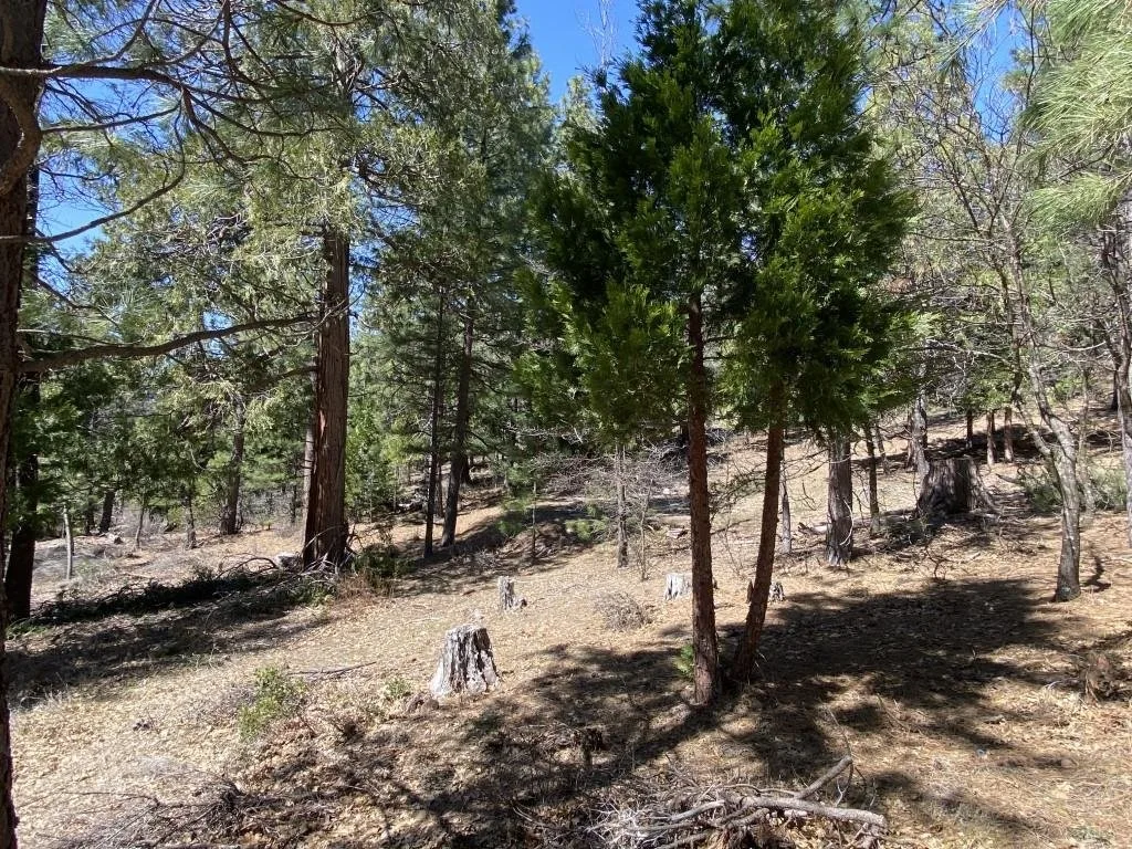 Lot 25 Meadow Ln, Weed — view 6 of 12