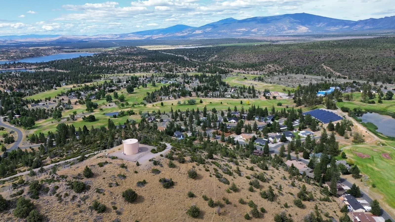 Zen Mountain, Weed — view 8 of 12