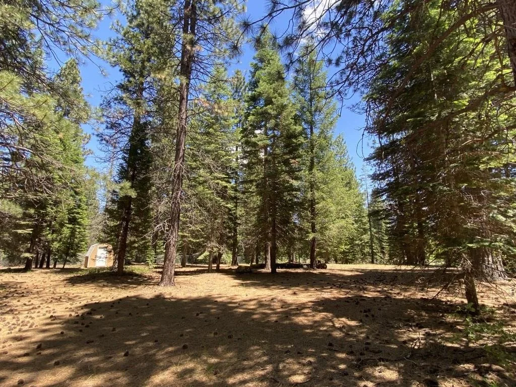 Lot 3 Twin Hills Ct, Mount Shasta — view 10 of 12
