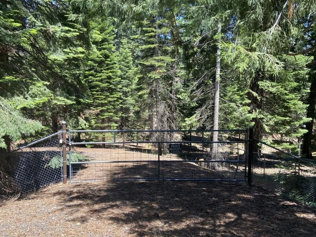 Lot 3 Twin Hills Ct, Mount Shasta — view 6 of 12