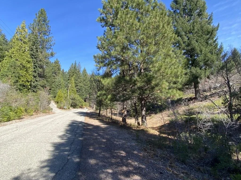 Lot 7 Andrew Ct, Mount Shasta — view 8 of 11
