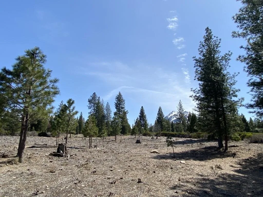 Lot 40 Hidden Meadow Dr, Weed — view 11 of 12