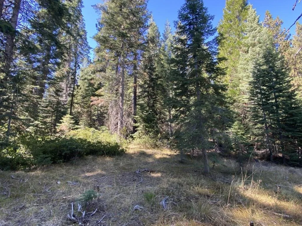 3-C-23 Fumarole Dr, McCloud — view 5 of 12
