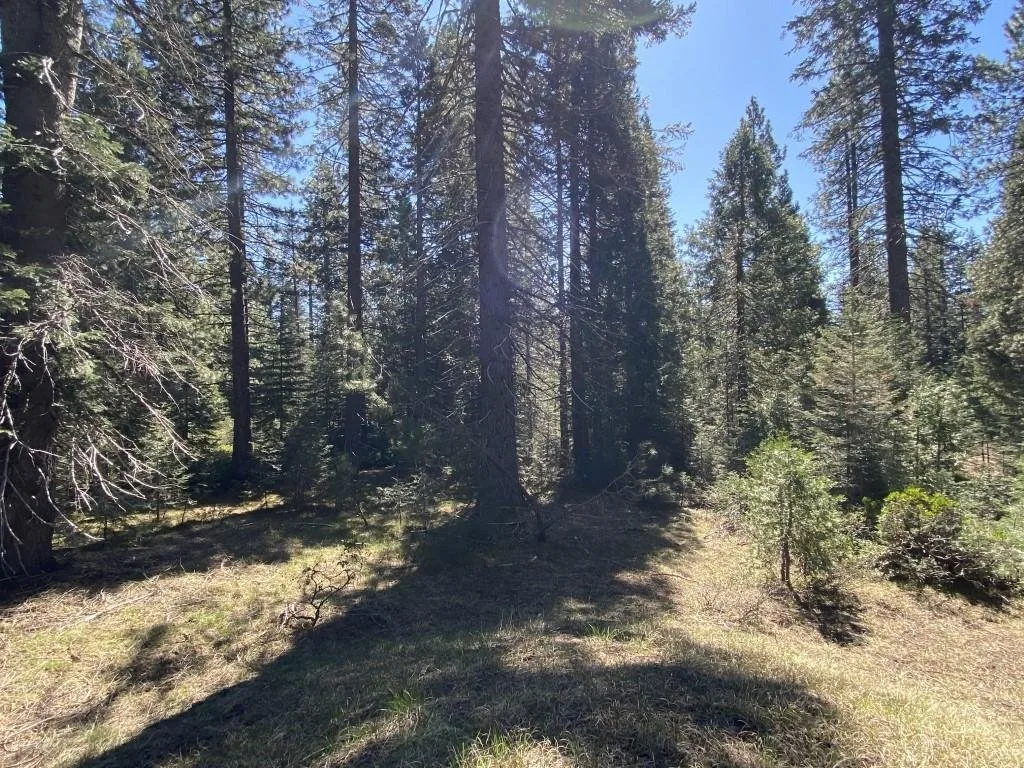 3-E-7 Mt Shasta Dr, McCloud — view 4 of 12