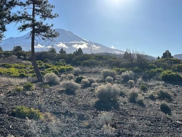 Blk 1 Lot 8 Jackson Ranch Road, Weed — view 6 of 6