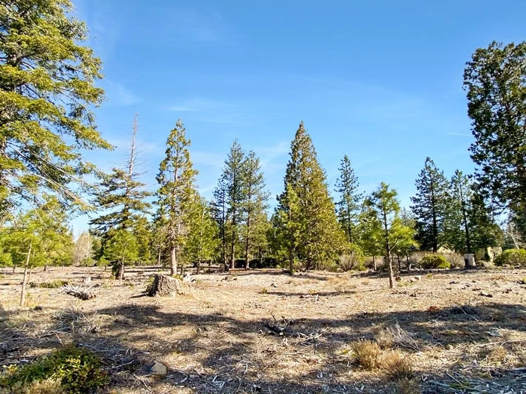 Lot 55 Hidden Meadow Dr, Weed — view 5 of 12