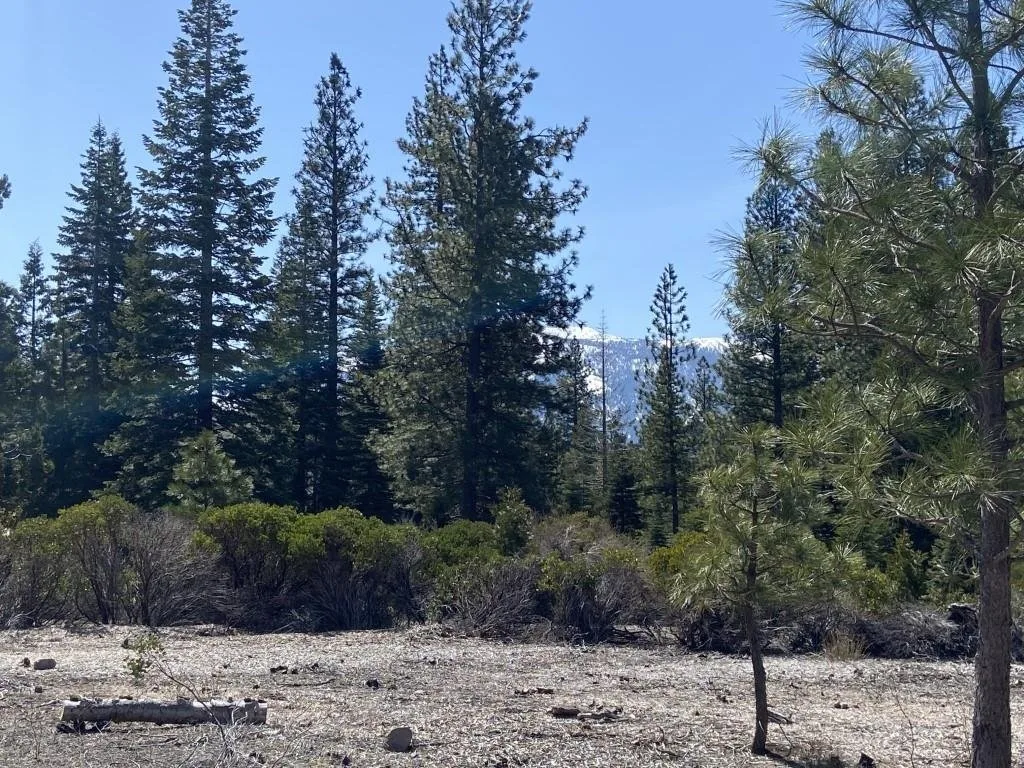 Lot 40 Hidden Meadow Dr, Weed — view 3 of 12