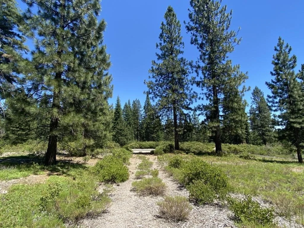2-E-15 Snowline Cir, McCloud — view 4 of 12