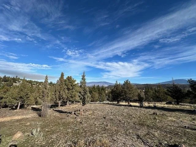 5238 Hill Drive, Weed — view 8 of 11