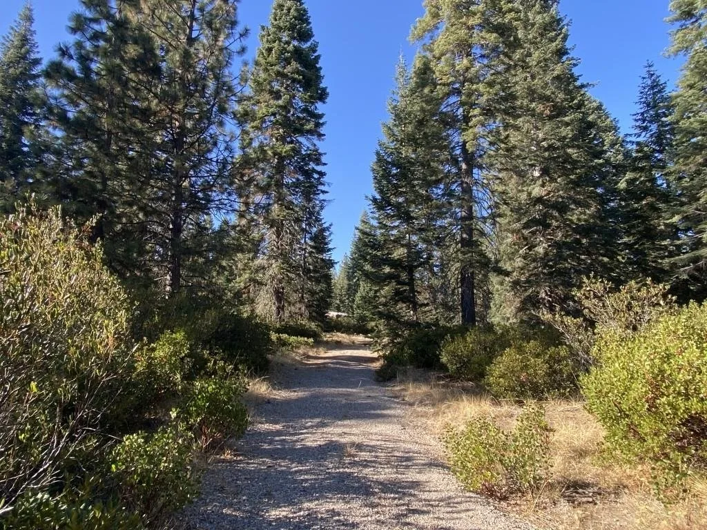 4-H-6 & 7 Ridge Dr, McCloud — view 4 of 12