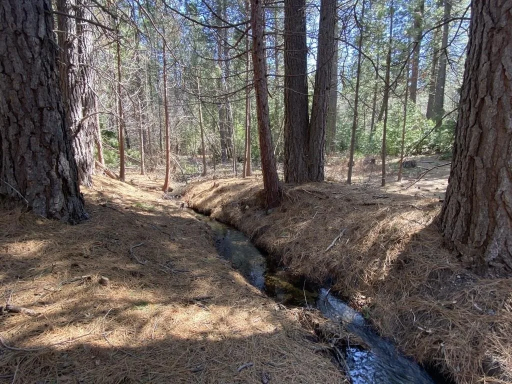 Lot 25 Meadow Ln, Weed — view 10 of 12