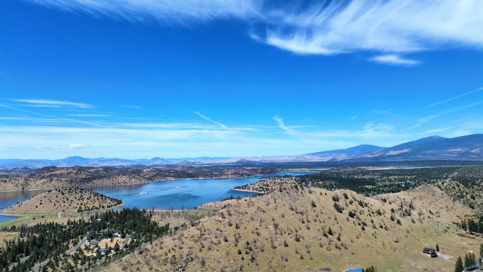 Zen Mountain, Weed — view 7 of 12