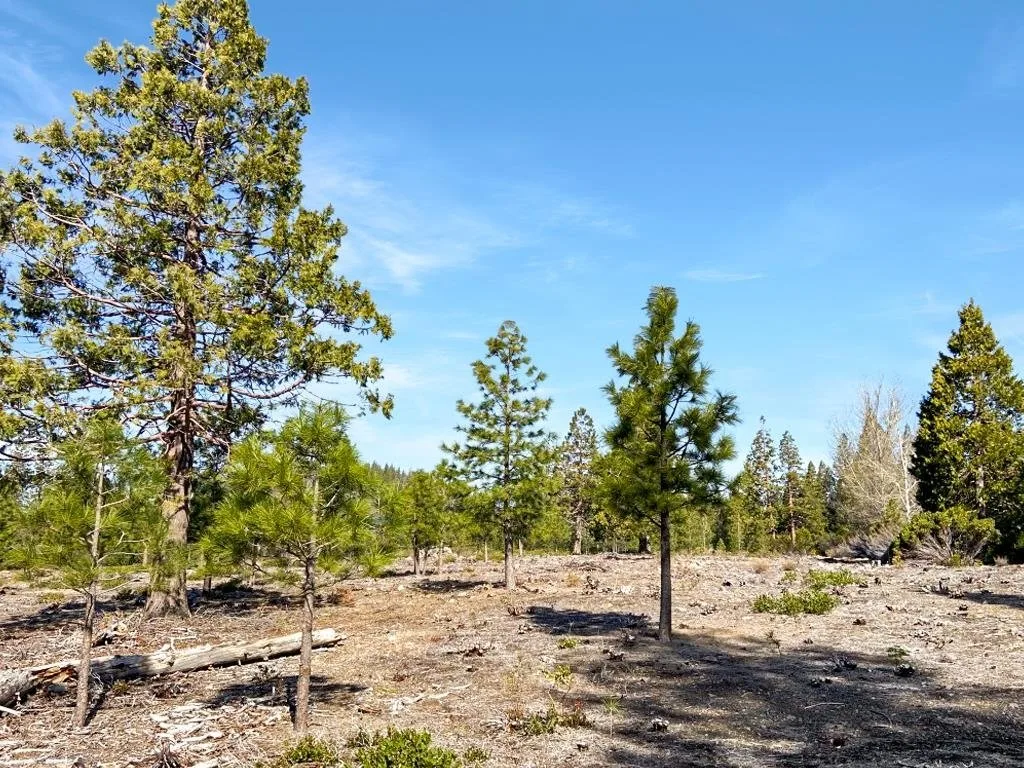 Lot 55 Hidden Meadow Dr, Weed — view 7 of 12