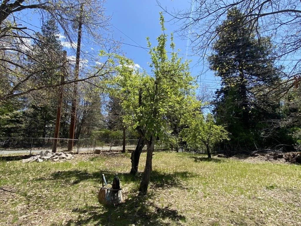 Outdoor space at Lots 4 & 5 Berry St, Mount Shasta — 6 of 6