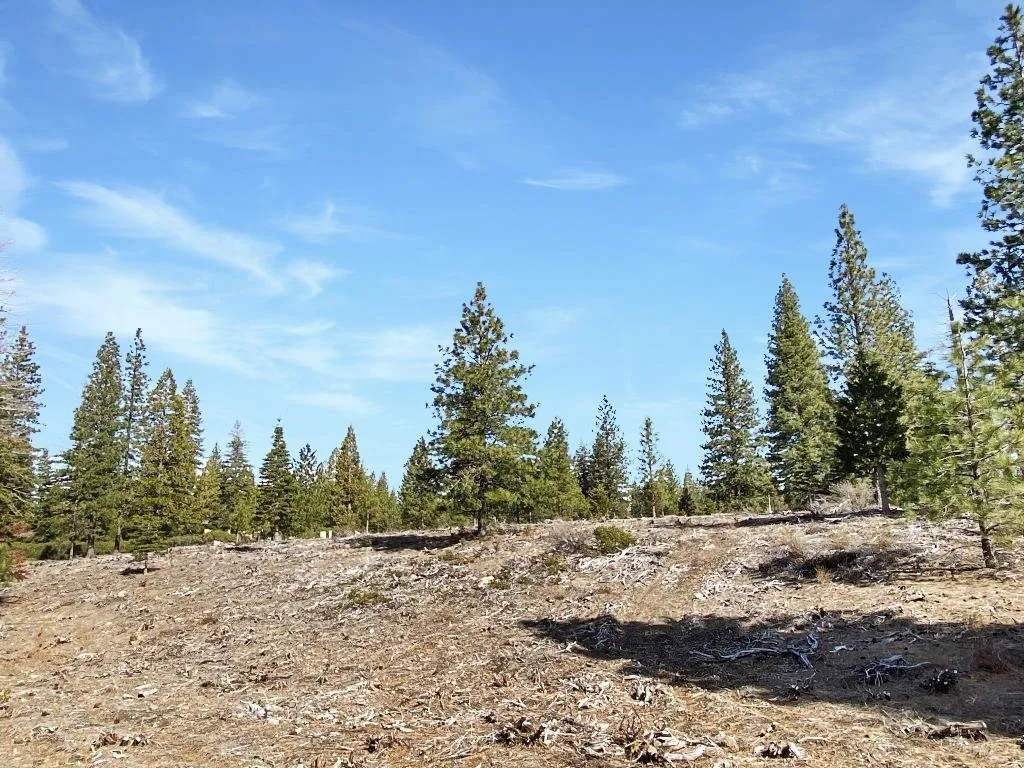 Lot 37 Hidden Meadow Dr, Weed — view 5 of 12