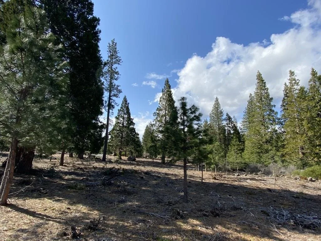 Lot 63 Heather Pl, Weed — view 4 of 12