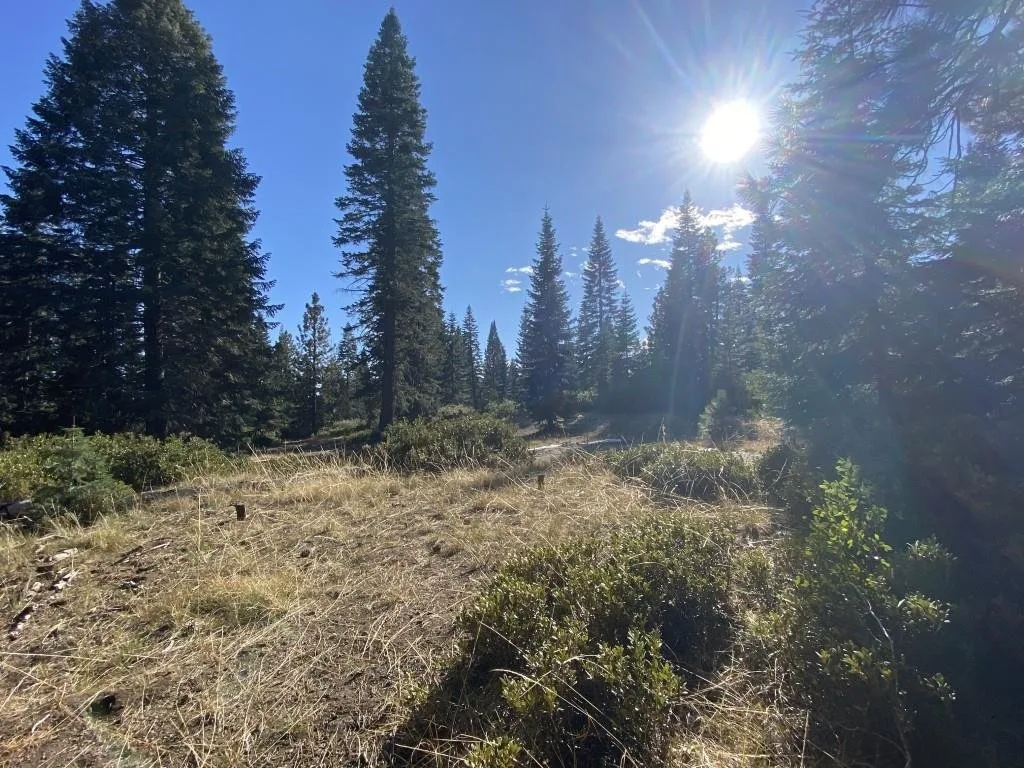 4-H-6 & 7 Ridge Dr, McCloud — view 10 of 12