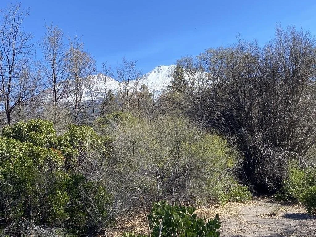 Lot 36 North Ridge Ct, Mount Shasta — view 2 of 12