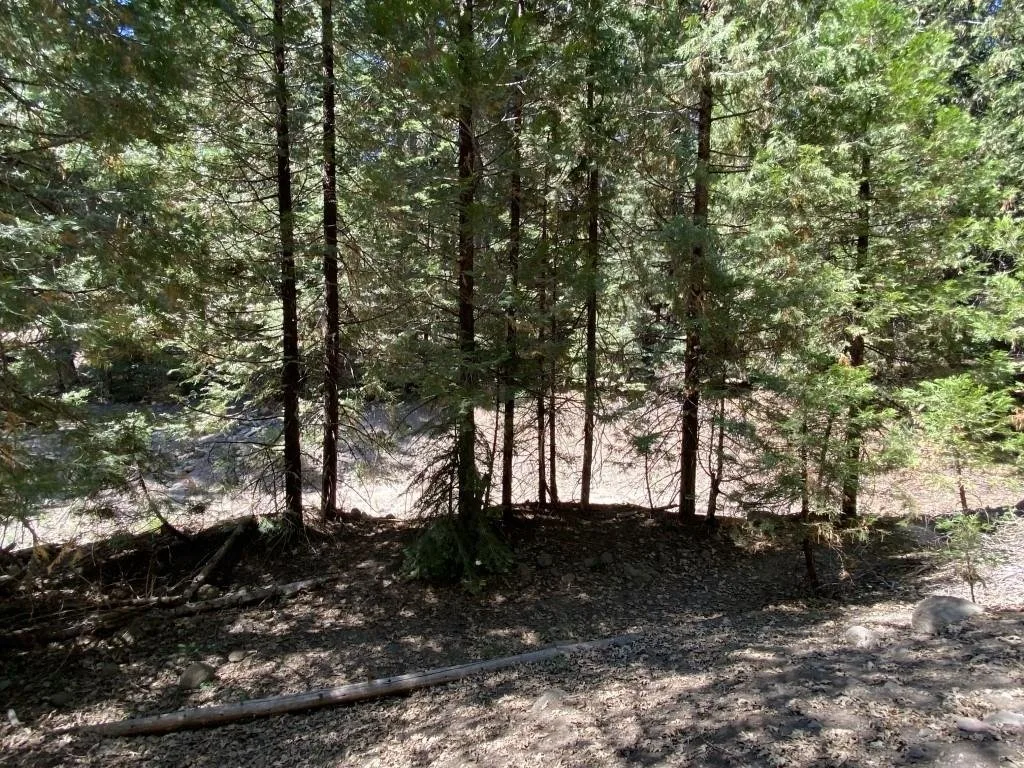 1-B-3 Cascade St, McCloud — view 10 of 12