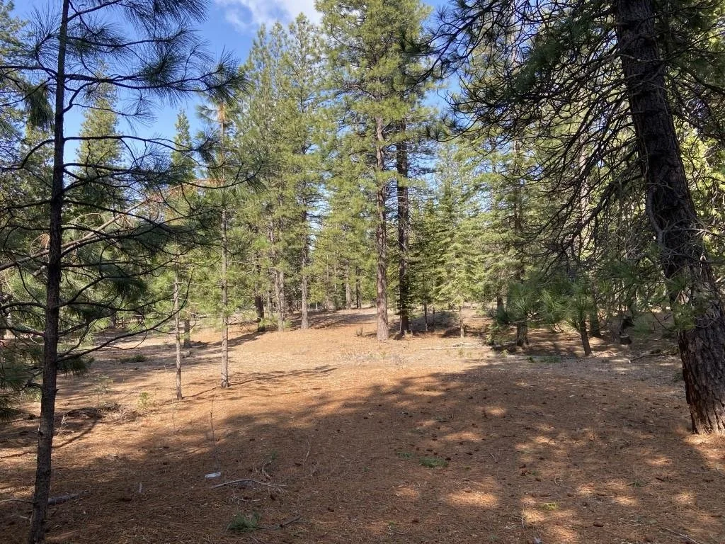 Lot 33 Glenhaven Ct, Weed — view 10 of 12