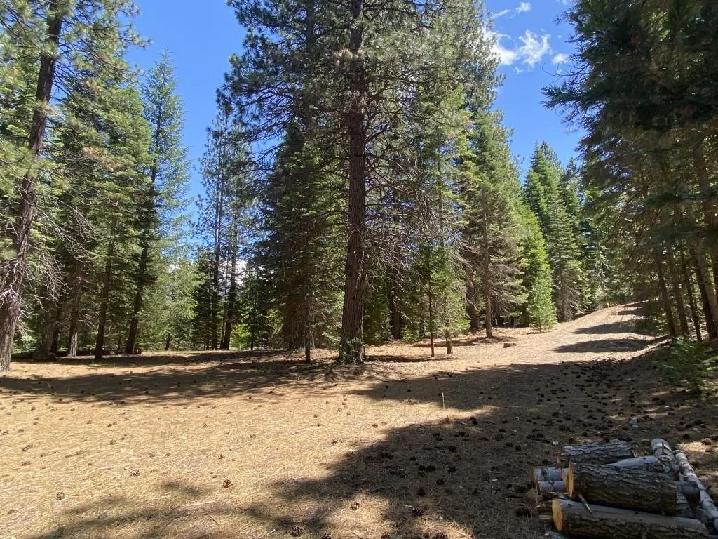 Lot 3 Twin Hills Ct, Mount Shasta — view 2 of 12