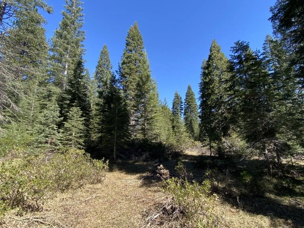 3-E-7 Mt Shasta Dr, McCloud — view 2 of 12