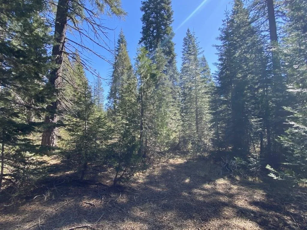 3-E-7 Mt Shasta Dr, McCloud — view 6 of 12