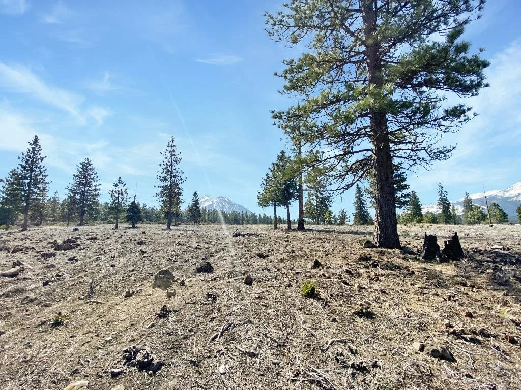 Lot 37 Hidden Meadow Dr, Weed — view 9 of 12