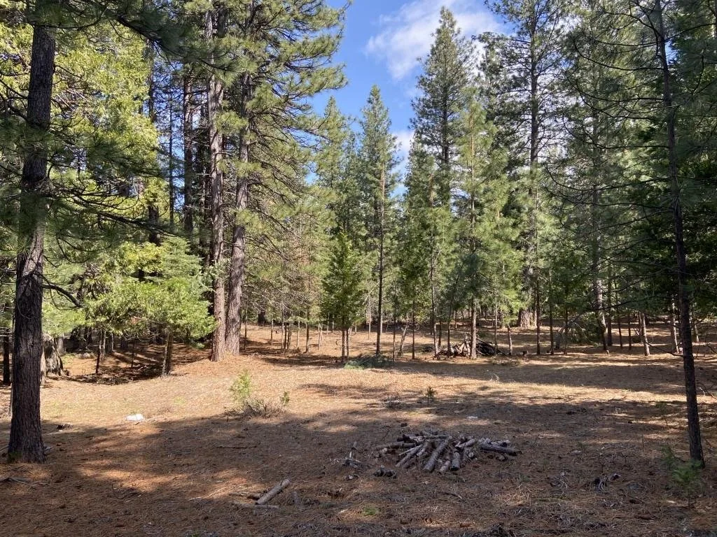 Lot 33 Glenhaven Ct, Weed — view 11 of 12
