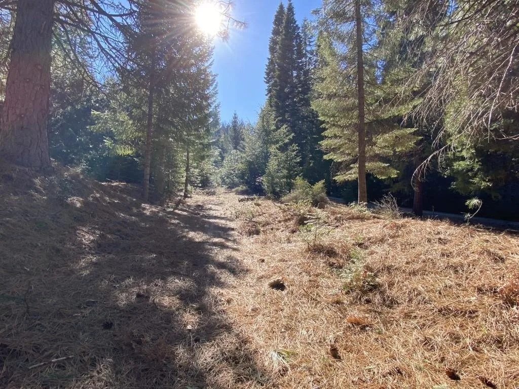 Lot 22 Woodside Ct, Mount Shasta — view 2 of 12