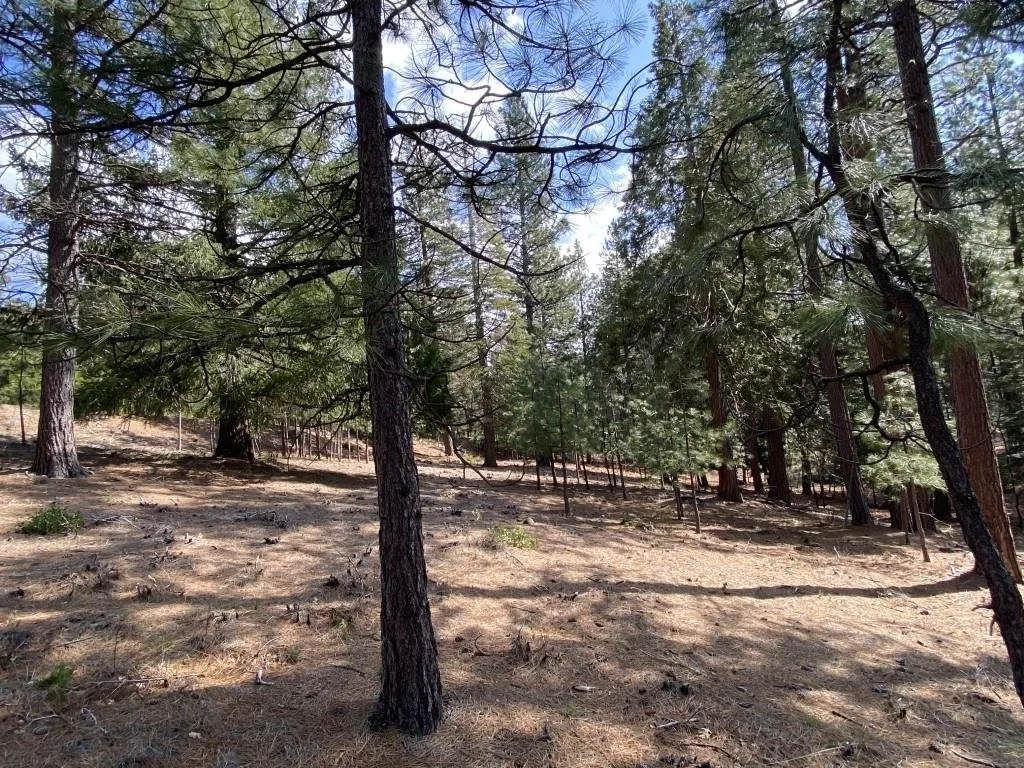 Lot 26 Meadow Ln, Weed — view 8 of 12