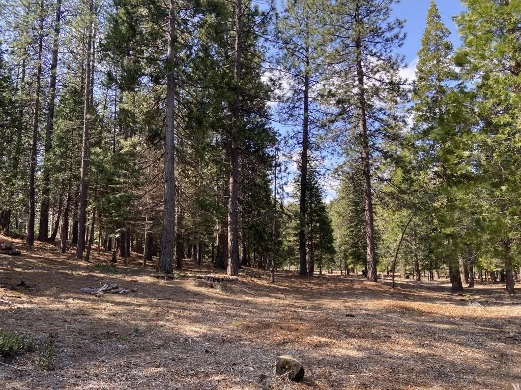 Lot 33 Glenhaven Ct, Weed — view 2 of 12