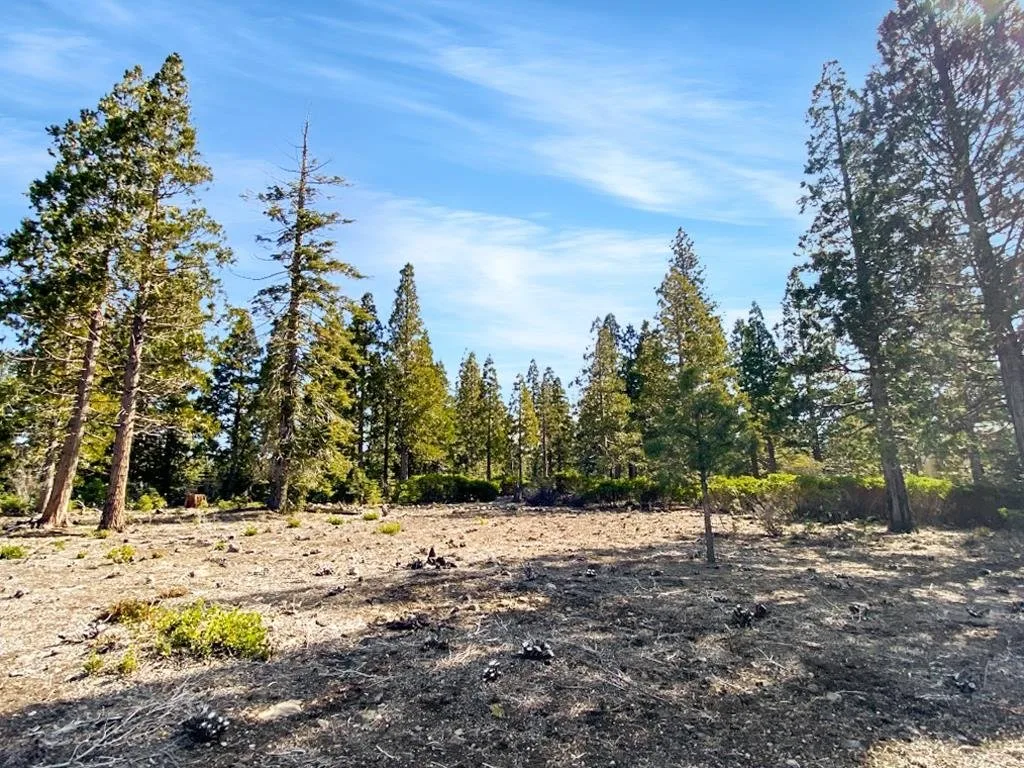 Lot 55 Hidden Meadow Dr, Weed — view 12 of 12
