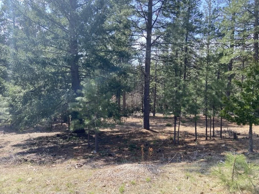 Lot 26 Meadow Ln, Weed — view 2 of 12