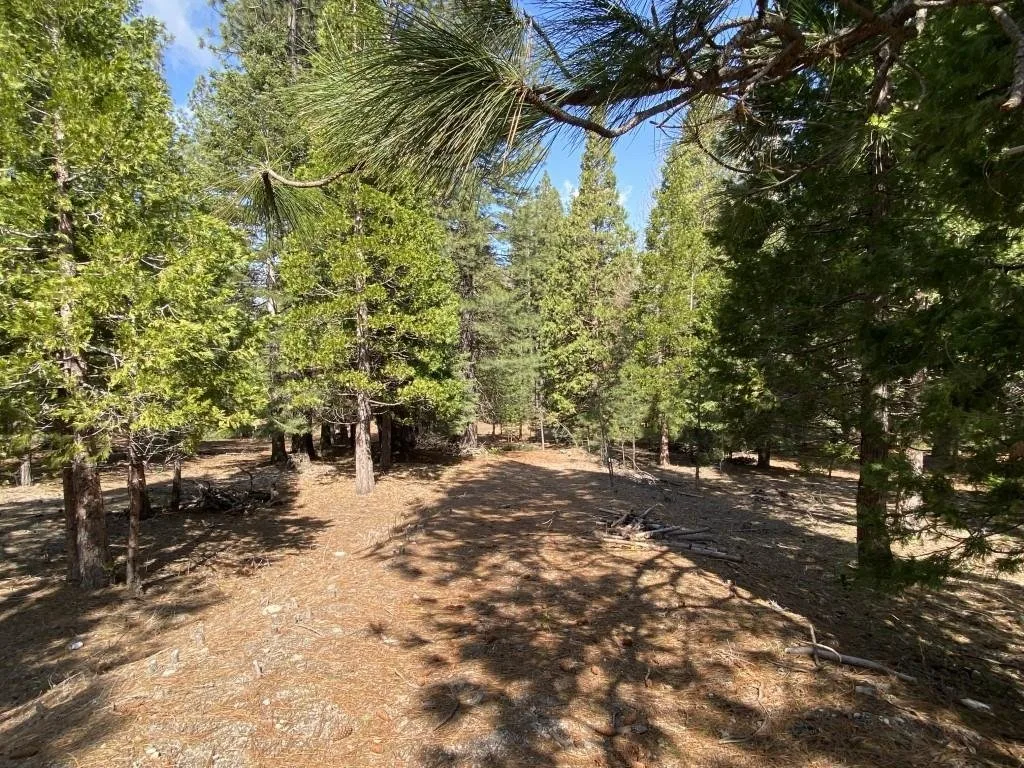 Lot 33 Glenhaven Ct, Weed — view 5 of 12