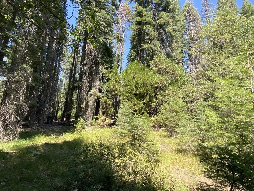 1-B-3 Cascade St, McCloud — view 4 of 12