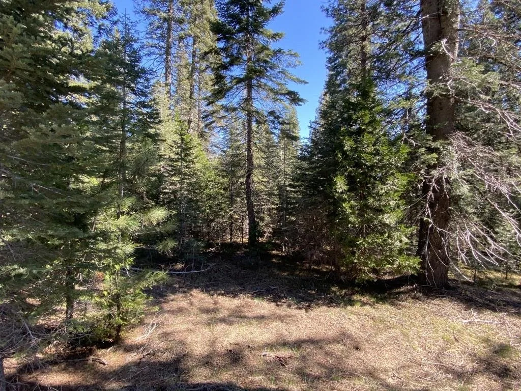 3-E-7 Mt Shasta Dr, McCloud — view 5 of 12