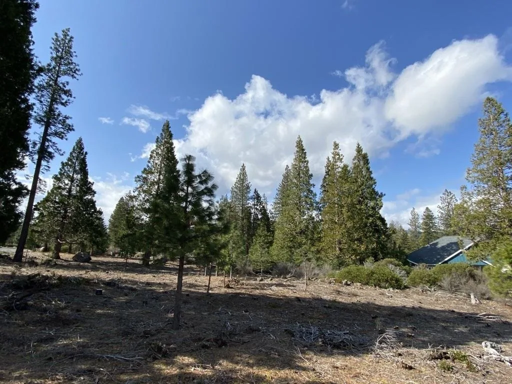 Lot 63 Heather Pl, Weed — view 5 of 12