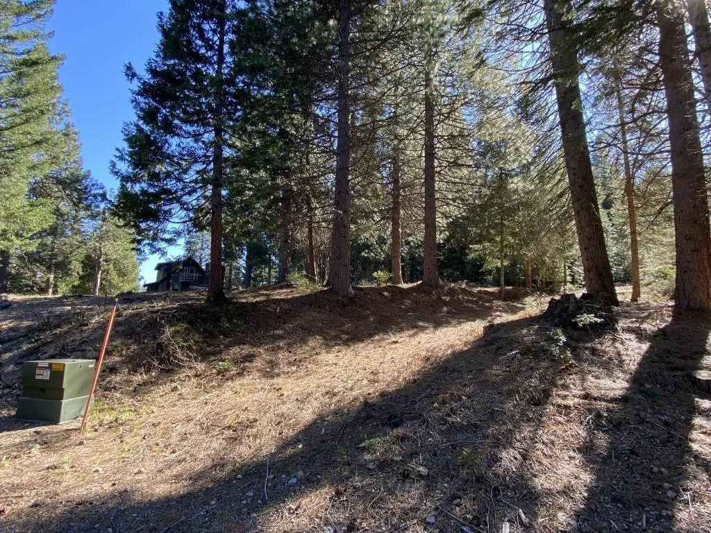 Lot 22 Woodside Ct, Mount Shasta — view 4 of 12