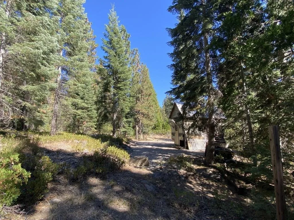 3-C-23 Fumarole Dr, McCloud — view 9 of 12