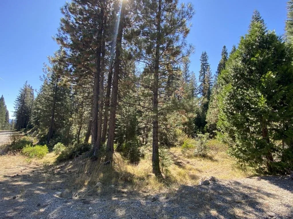 3-C-23 Fumarole Dr, McCloud — view 11 of 12