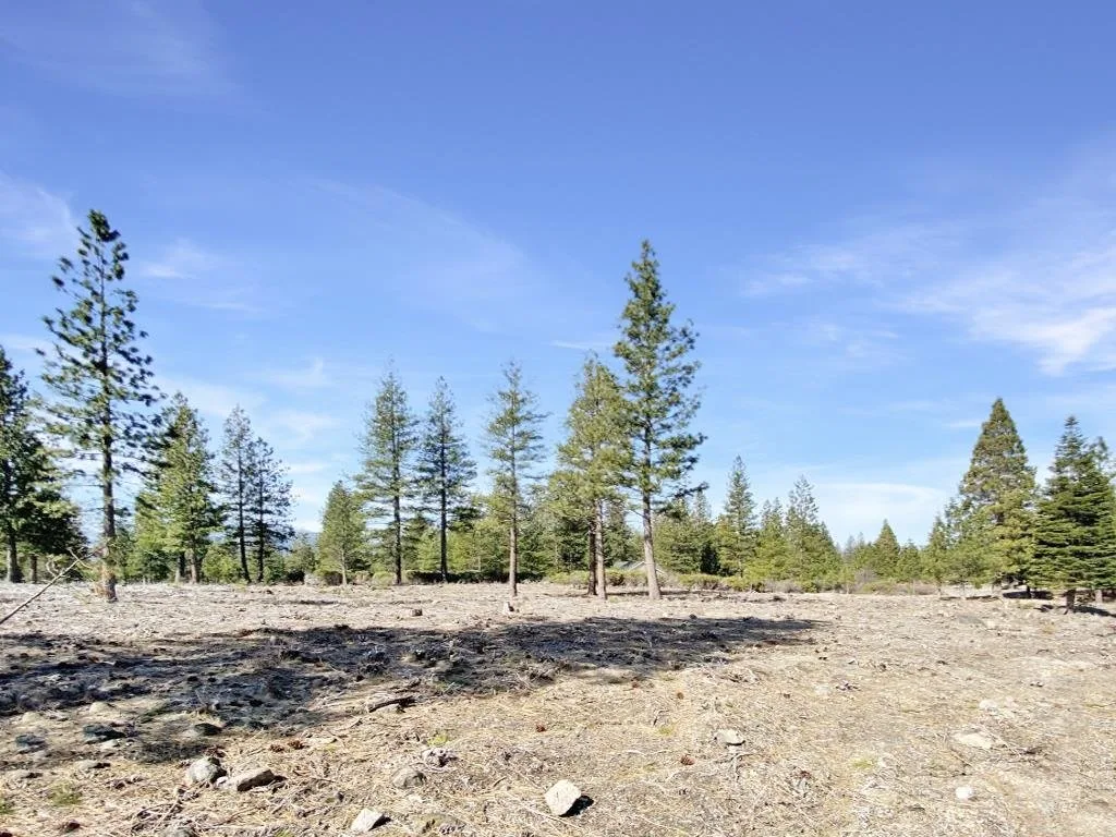 Lot 37 Hidden Meadow Dr, Weed — view 11 of 12