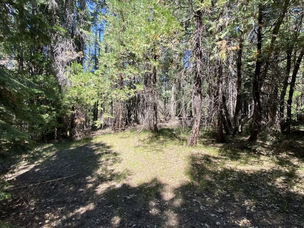 1-B-3 Cascade St, McCloud — view 12 of 12