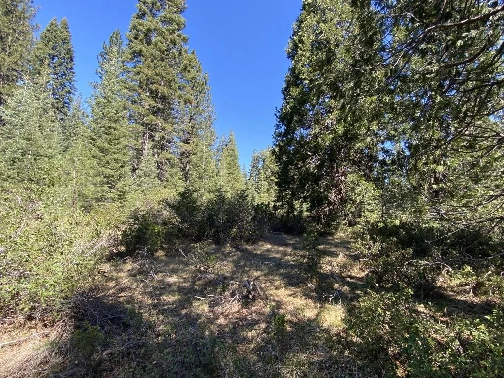 3-E-7 Mt Shasta Dr, McCloud — view 7 of 12