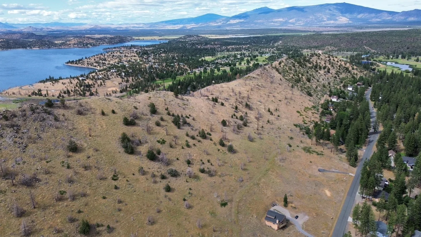Zen Mountain, Weed — view 12 of 12