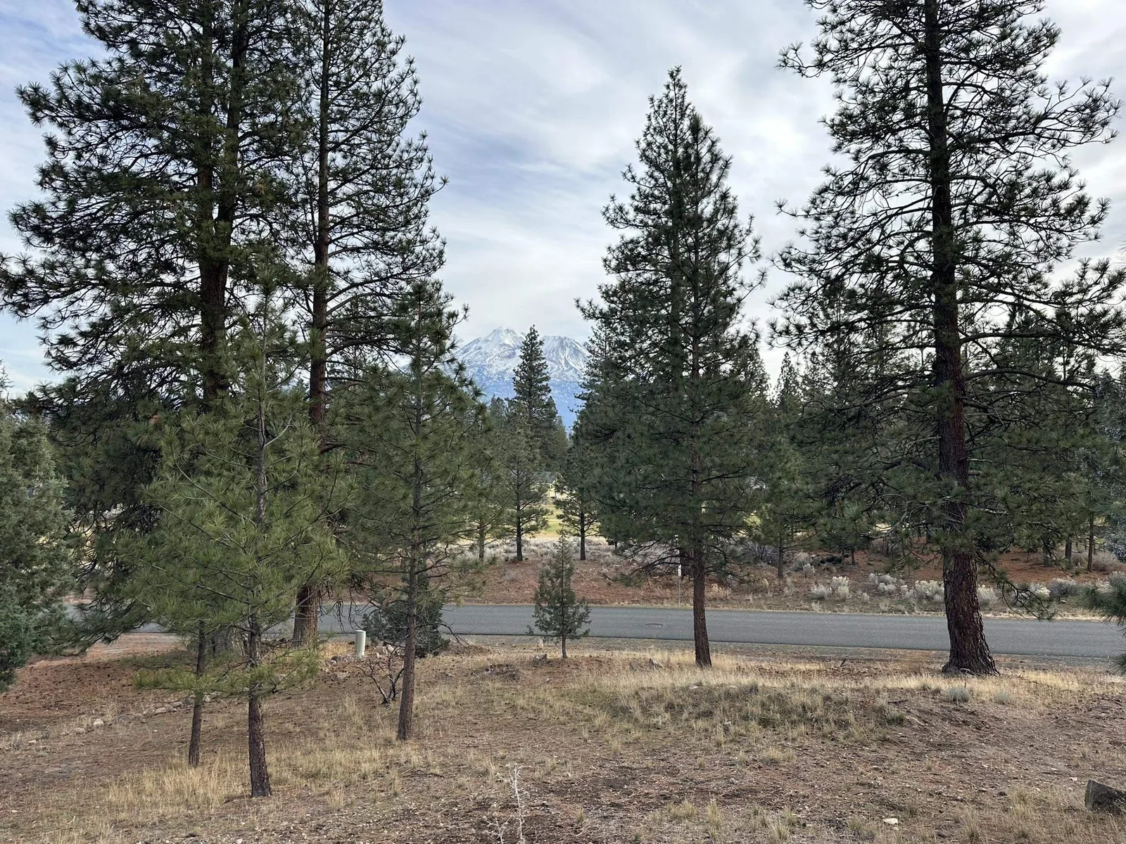View at 5-3/276 Palmer Drive, Weed — 2 of 6