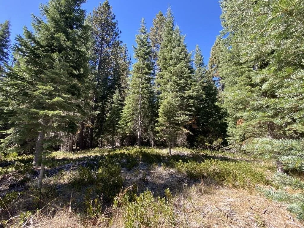 3-C-23 Fumarole Dr, McCloud — view 2 of 12
