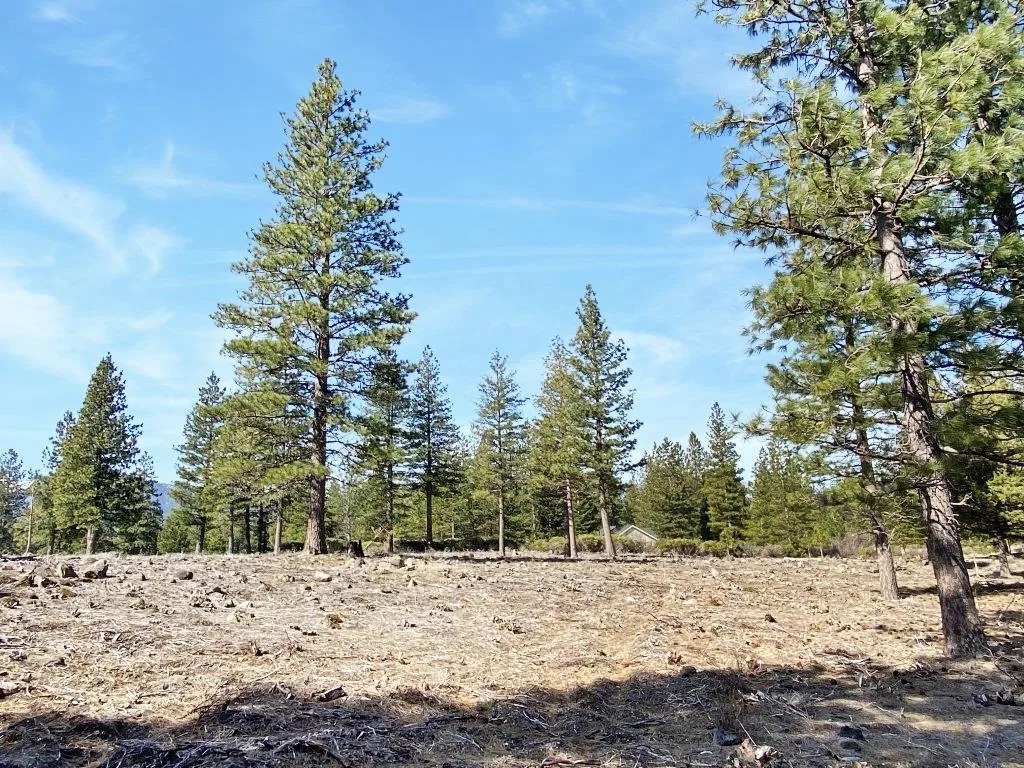 Lot 37 Hidden Meadow Dr, Weed — view 6 of 12