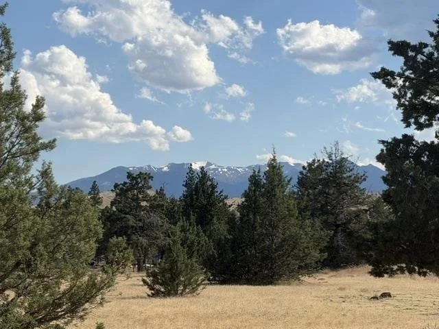 5-4/157 Mt. Blanch Dr., Weed — view 4 of 6